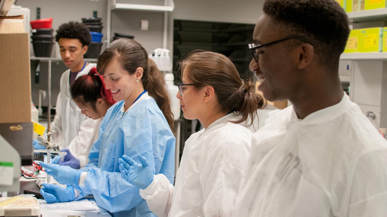 Students in a laboratory