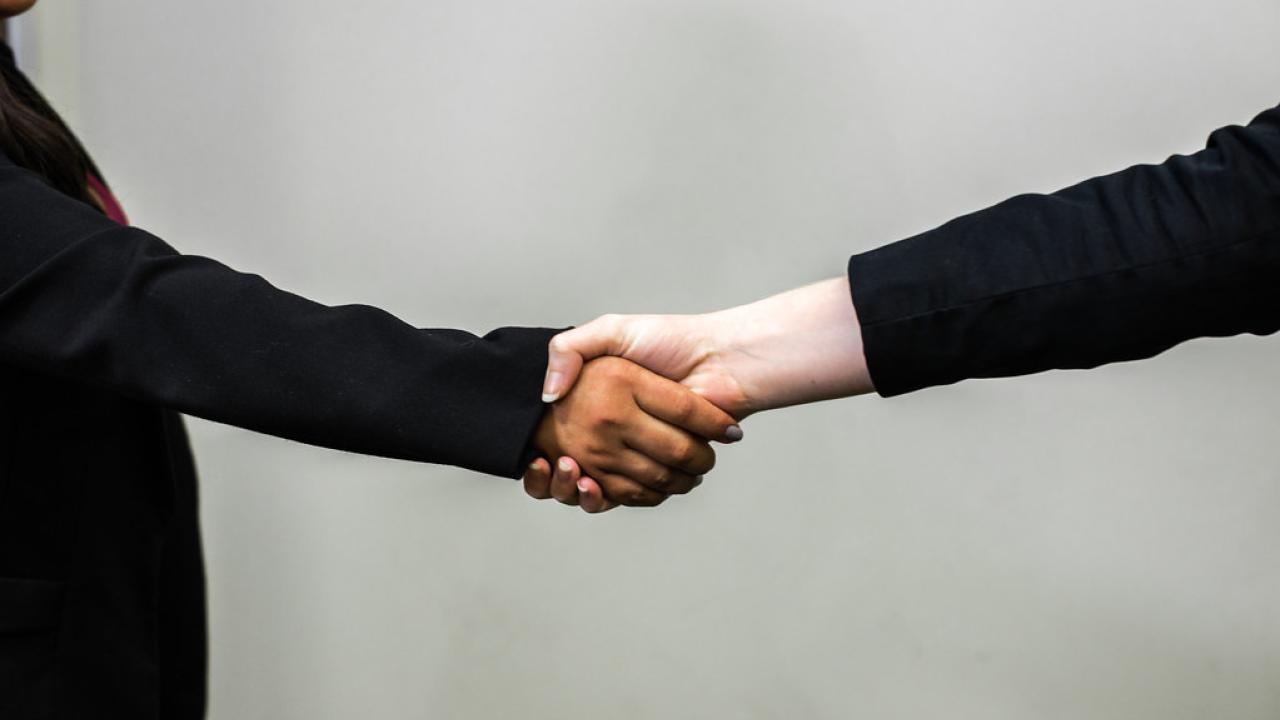 Two business people shaking hands