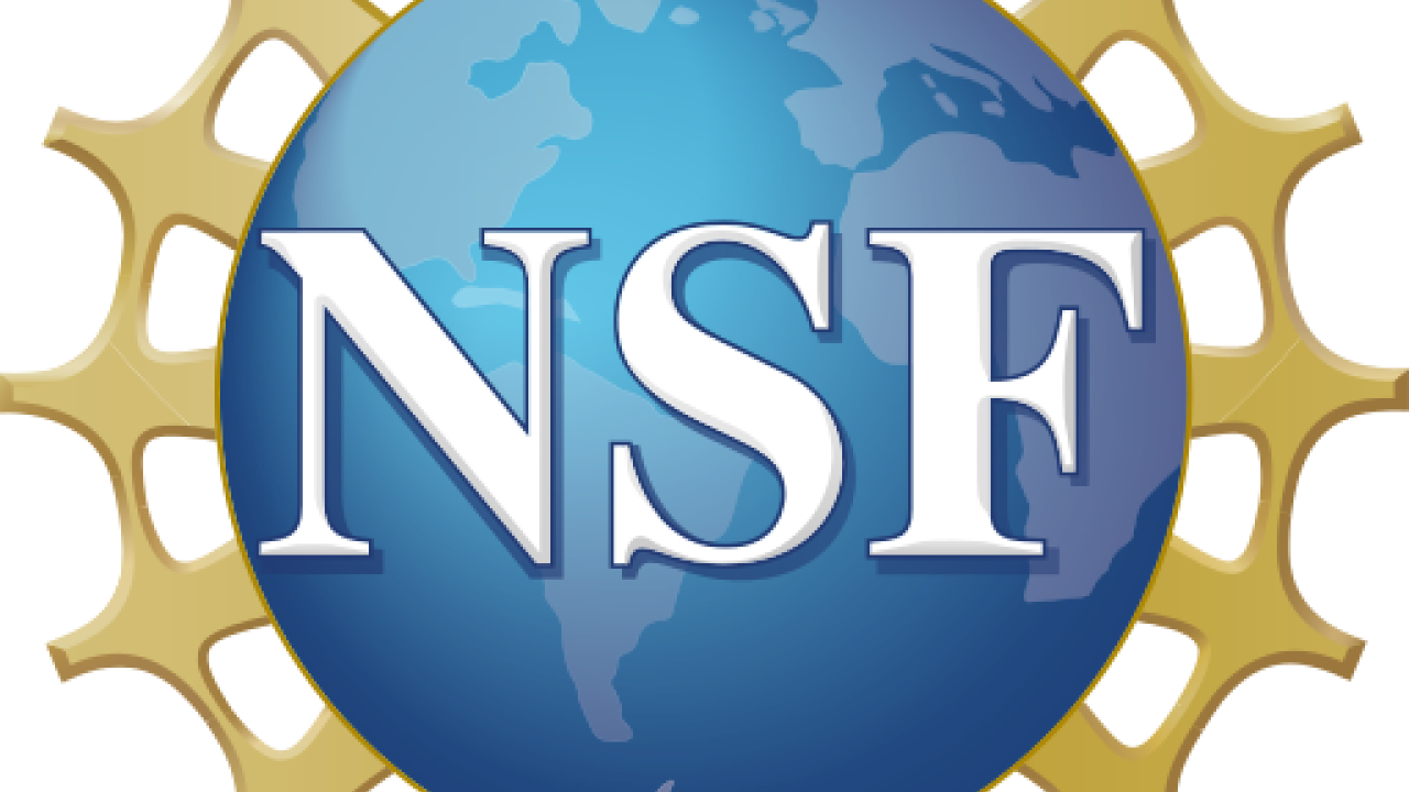 NSF logo